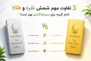 3 تفاوت مهم شمش نقره و طلا؛ کدام گزینه برای سرمایه گذاری بهتر است؟ 3 1030x687 1