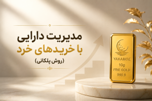 4دلیل که چرا خرید شمش طلا هوشمندانهترین راه برای حفظ قدرت خرید خانوادههاست 2 مدیریت دارایی با خریدهای خرد (روش پلکانی)