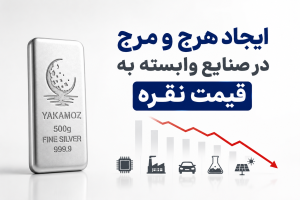 حذف نقره از جهان؛ 4 اتفاقی که زندگی بشر را متوقف میکند 3 ایجاد هرج و مرج در صنایع وابسته به قیمت نقره