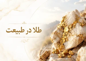 مجله خبری 8 زمین