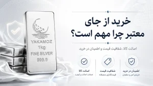چرا قیمت نقره یهویی بالا پایین میشه؟ 4 علت 2 880ca5f4 9fa4 4a18 bf12 0789491c367e