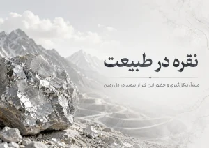 مجله خبری 14 c82a2954 b0f0 48e7 bdd4 f19dfb396277