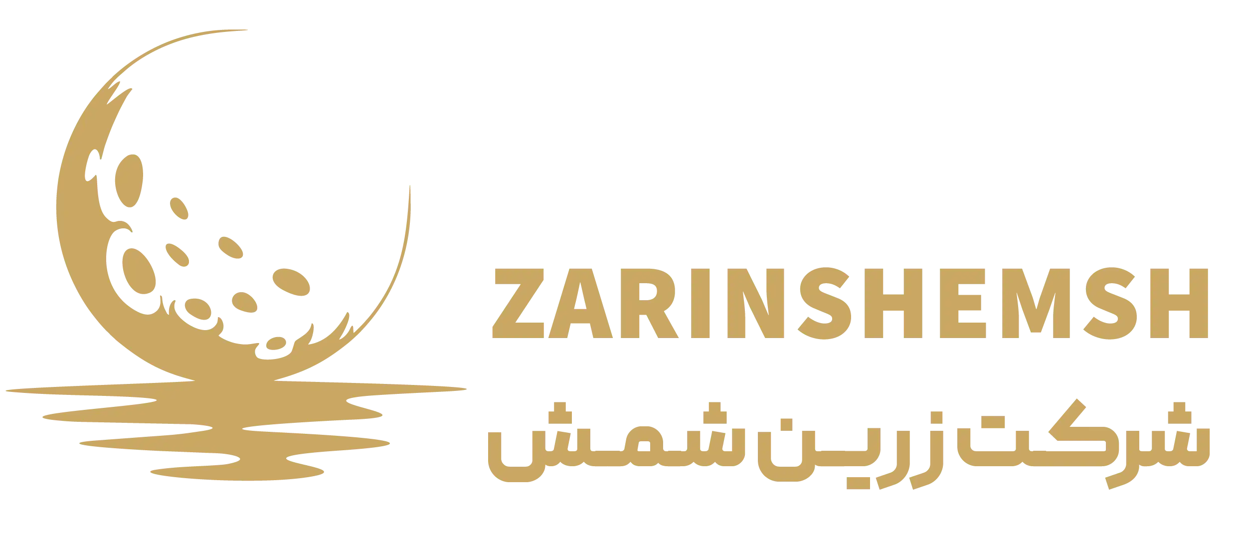 شرکت زرین شمش، شمش طلا، شمش نقره
