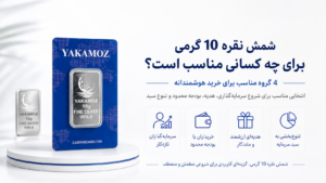 بهترین وزن شمش نقره برای سرمایه گذاری؛ 4 نکته مهم قبل از خرید 1 شمش نقره 10 گرمی برای چه کسانی مناسب است؟