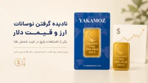 نادیده گرفتن نوسانات ارز و قیمت دلار