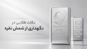 4 نکته مهم درباره سرمایهگذاری در شمش نقره؛ از مزایا و تشخیص اصالت تا تحلیل بازار 3 نکات طلایی در نگهداری از شمش نقره