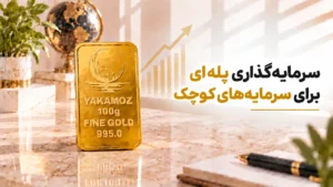 سرمایه گذاری پله ای